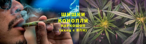крисы Бородино