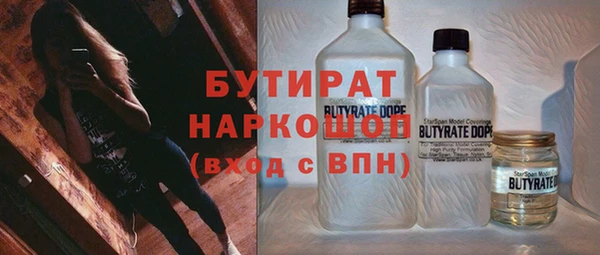 крисы Бородино