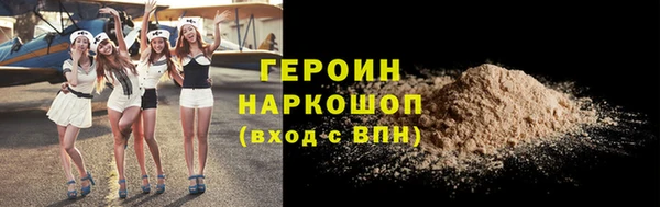 крисы Бородино