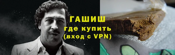 крисы Бородино