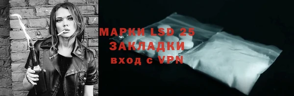 крисы Бородино