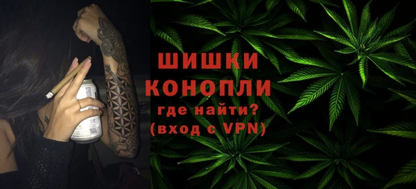крисы Бородино