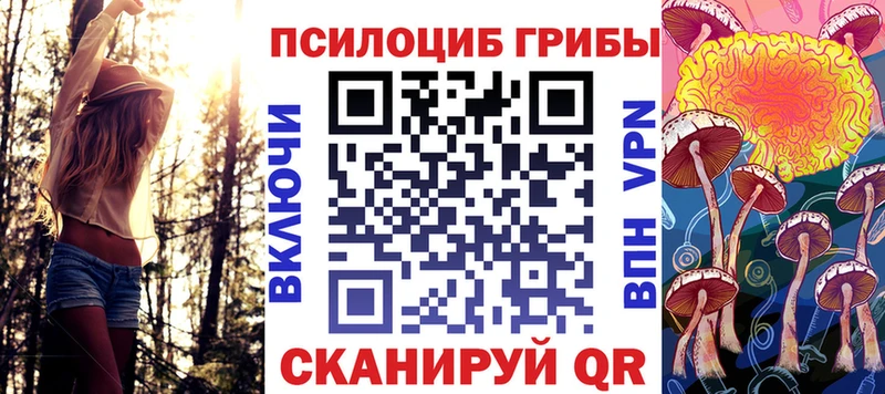 даркнет сайт  Кимовск  маркетплейс состав  Галлюциногенные грибы мухоморы 