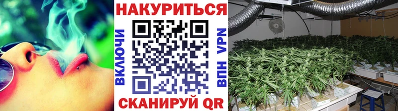 сколько стоит  Кимовск  Шишки марихуана конопля 